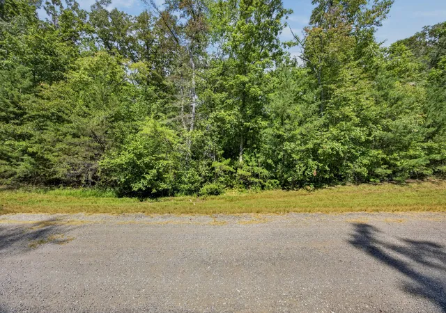 Photo 3 of Land for sale at 12 Mountain Ash Dr, Monterey, TN 38574 | MLS# 3592536 | Listing updated on 2026-09-15
