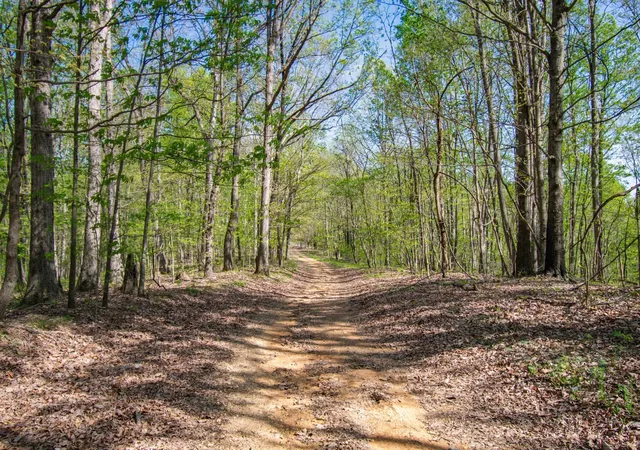 Land for sale at 1555 Dog Holw Rd, Lynnville, TN 38472 | MLS# 3547973
