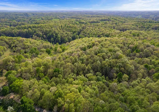 Photo 2 of Land for sale at 1555 Dog Holw Rd, Lynnville, TN 38472 | MLS# 3547973 | Listing updated on 2026-09-14