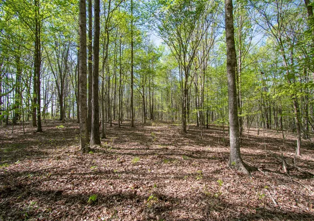 Photo 3 of Land for sale at 1555 Dog Holw Rd, Lynnville, TN 38472 | MLS# 3547973 | Listing updated on 2026-09-14