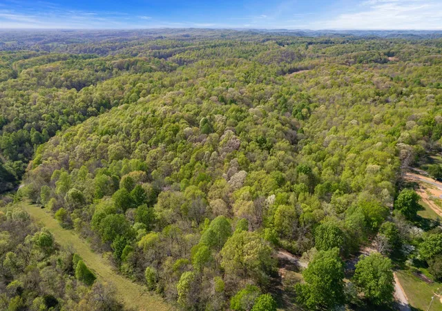 Photo 3 of Land for sale at 1555 Dog Holw Rd, Lynnville, TN 38472 | MLS# 3547973 | Listing updated on 2026-09-14