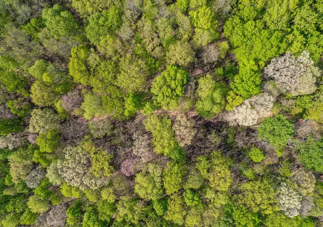 Photo 4 of Land for sale at 1555 Dog Holw Rd, Lynnville, TN 38472 | MLS# 3547973 | Listing updated on 2026-09-14