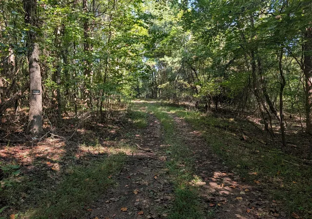 Land for sale at 665 Lakewood Village Rd, Spring City, TN 37381 | MLS# 3592621