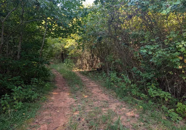 Photo 1 of Land for sale at 665 Lakewood Village Rd, Spring City, TN 37381 | MLS# 3592621 | Listing updated on 2026-09-15