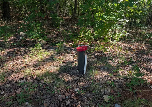 Photo 3 of Land for sale at 665 Lakewood Village Rd, Spring City, TN 37381 | MLS# 3592621 | Listing updated on 2026-09-15