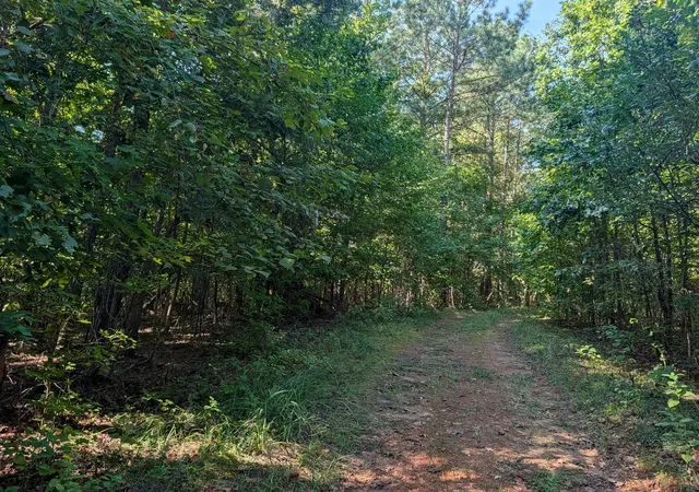 Photo 4 of Land for sale at 665 Lakewood Village Rd, Spring City, TN 37381 | MLS# 3592621 | Listing updated on 2026-09-15