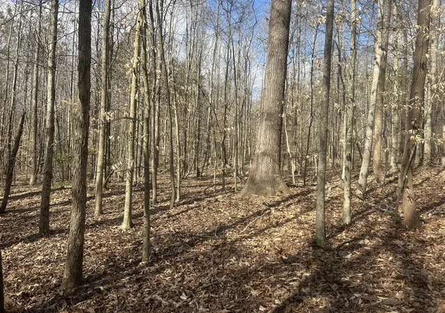 Photo 1 of Land for sale at 0 Mt Carmel Rd, Camden, TN 38320 | MLS# 3580568 | Listing updated on 2026-09-14