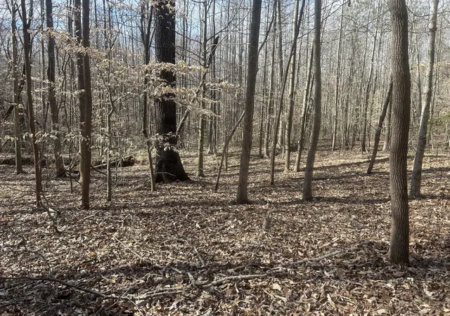 Photo 2 of Land for sale at 0 Mt Carmel Rd, Camden, TN 38320 | MLS# 3580568 | Listing updated on 2026-09-14