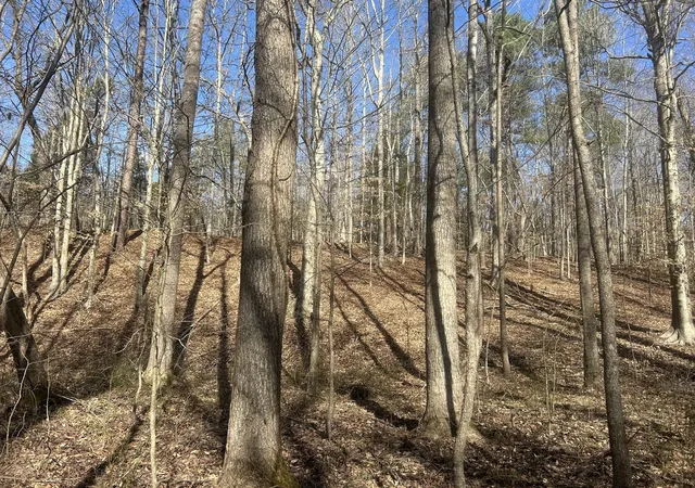 Photo 3 of Land for sale at 0 Mt Carmel Rd, Camden, TN 38320 | MLS# 3580568 | Listing updated on 2026-09-14