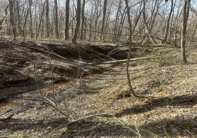 Photo 3 of Land for sale at 0 Mt Carmel Rd, Camden, TN 38320 | MLS# 3580568 | Listing updated on 2026-09-14