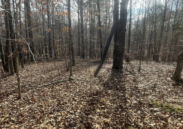 Photo 4 of Land for sale at 0 Mt Carmel Rd, Camden, TN 38320 | MLS# 3580568 | Listing updated on 2026-09-14