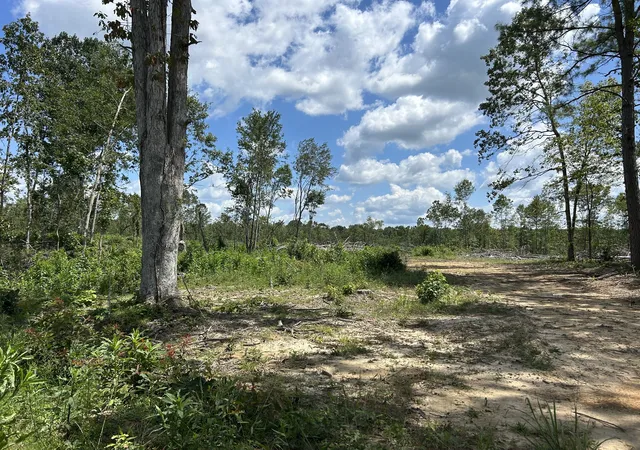 Photo 1 of Land for sale at 0 Wynn Rd, Big Sandy, TN 38221 | MLS# 3591960 | Listing updated on 2026-09-14