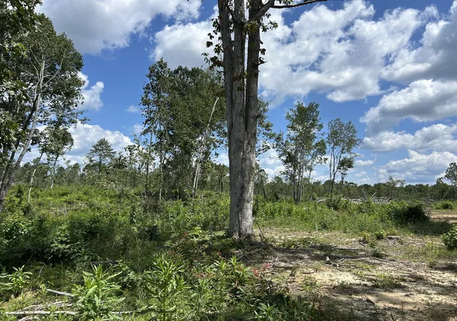 Photo 2 of Land for sale at 0 Wynn Rd, Big Sandy, TN 38221 | MLS# 3591960 | Listing updated on 2026-09-14