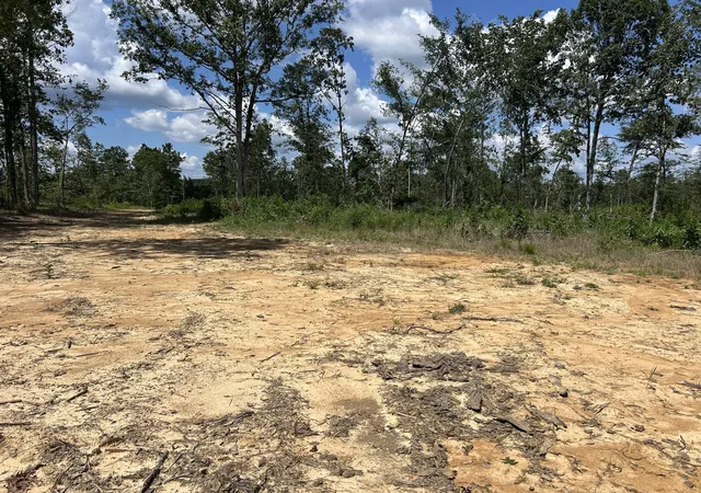 Photo 3 of Land for sale at 0 Wynn Rd, Big Sandy, TN 38221 | MLS# 3591960 | Listing updated on 2026-09-14