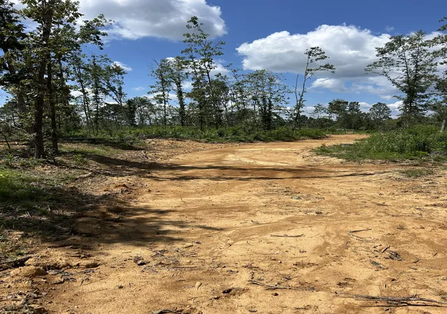 Photo 3 of Land for sale at 0 Wynn Rd, Big Sandy, TN 38221 | MLS# 3591960 | Listing updated on 2026-09-14