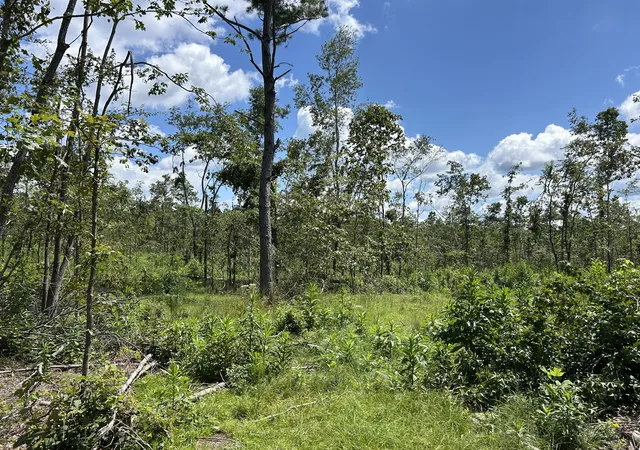 Photo 4 of Land for sale at 0 Wynn Rd, Big Sandy, TN 38221 | MLS# 3591960 | Listing updated on 2026-09-14