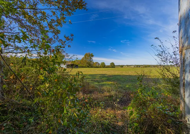 Photo 1 of Land for sale at 0 Yates Rd, Hillsboro, TN 37342 | MLS# 3592014 | Listing updated on 2026-09-14