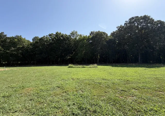 Photo 3 of Land for sale at 2 Newt Mcknight Rd, Mc Minnville, TN 37110 | MLS# 3592082 | Listing updated on 2026-09-15