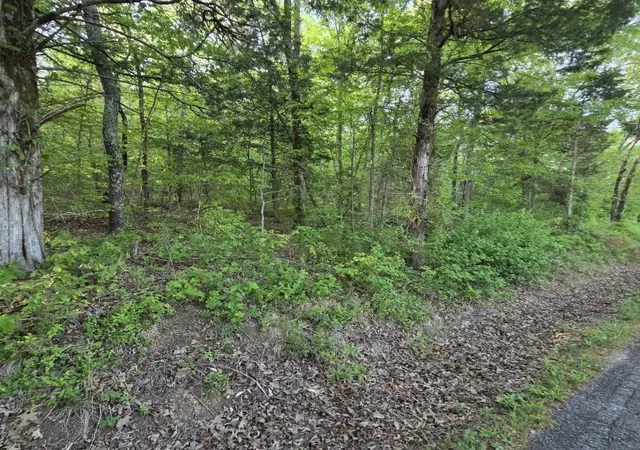 Photo 3 of Land for sale at 0 Red Bank Crk Rd, Lobelville, TN 37097 | MLS# 3592090 | Listing updated on 2026-10-09