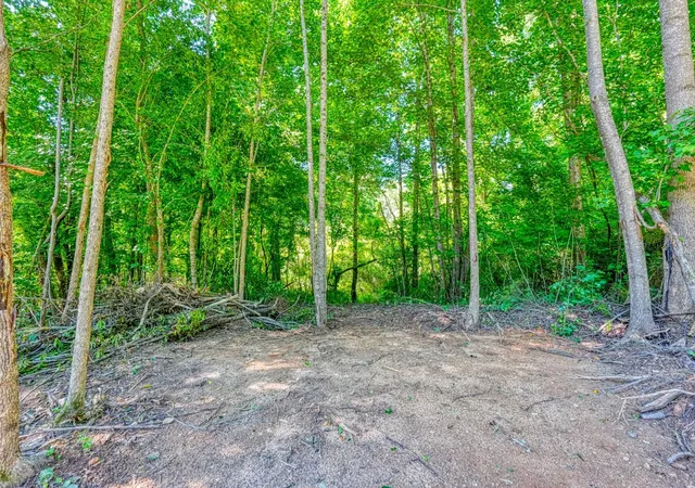 Photo 4 of Land for sale at 00 Thompson Rd, Fountain Inn, SC 29644 | MLS# SPN338074 | Listing updated on 2026-09-11