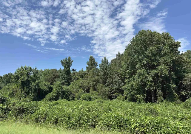Photo 2 of Land for sale at 0 Corinth Rd, Gaffney, SC | MLS# SPN341566 | Listing updated on 2026-09-12