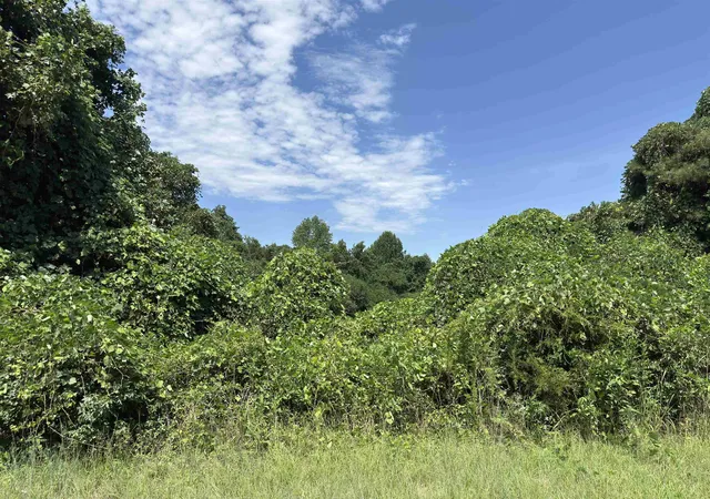 Photo 3 of Land for sale at 0 Corinth Rd, Gaffney, SC | MLS# SPN341566 | Listing updated on 2026-09-12