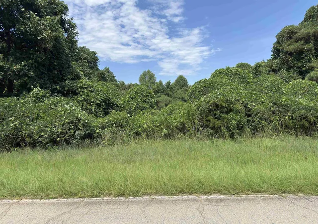 Photo 3 of Land for sale at 0 Corinth Rd, Gaffney, SC | MLS# SPN341566 | Listing updated on 2026-09-12