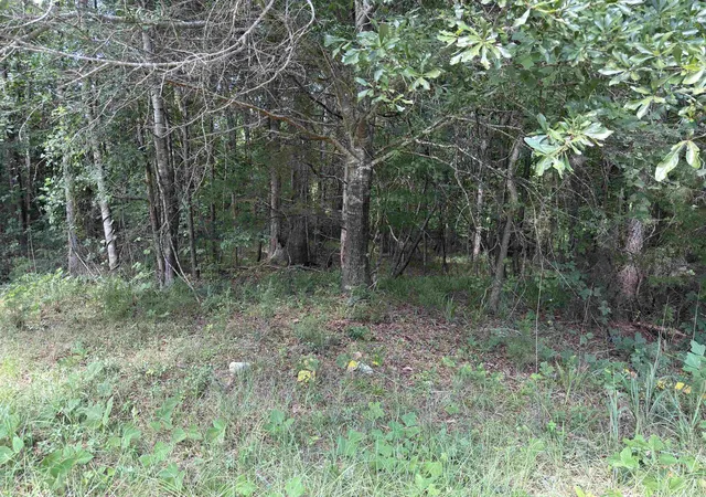 Photo 4 of Land for sale at 0 Corinth Rd, Gaffney, SC | MLS# SPN341566 | Listing updated on 2026-09-12