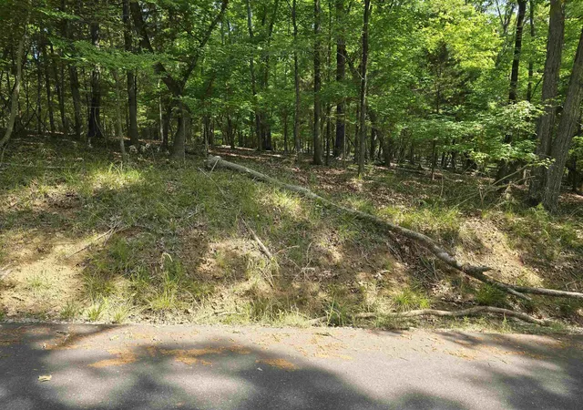 Photo 3 of Land for sale at Lot 15 Cypress Dr, Clover, SC 29710 | MLS# SPN341583 | Listing updated on 2026-09-12