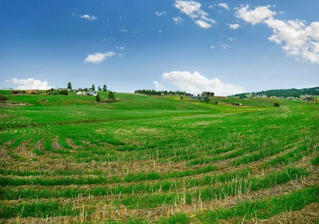 Photo 3 of Land for sale at Nka E Hoffman Ln, Spokane, WA 99223 | MLS# 202514157 | Listing updated on 2026-09-14
