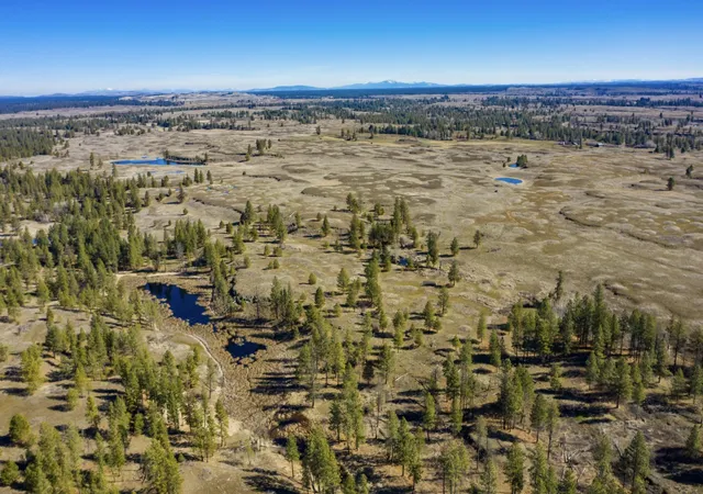 Photo 2 of Land for sale at Lot 8 023119028 Unassigned Address, Cheney, WA 99032 | MLS# 202518137 | Listing updated on 2026-09-24