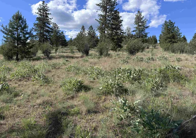 Photo 1 of Land for sale at 6581 Saddle Mountain Way, Deer Park, WA 99006 | MLS# 202612093 | Listing updated on 2026-09-15