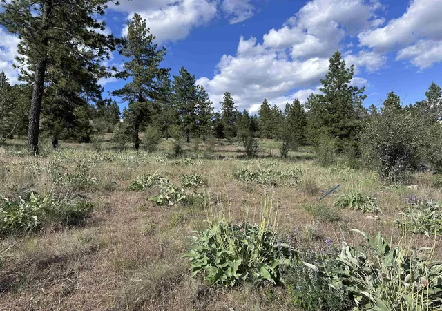 Photo 2 of Land for sale at 6581 Saddle Mountain Way, Deer Park, WA 99006 | MLS# 202612093 | Listing updated on 2026-09-15
