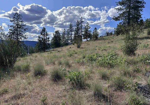 Photo 3 of Land for sale at 6581 Saddle Mountain Way, Deer Park, WA 99006 | MLS# 202612093 | Listing updated on 2026-09-15
