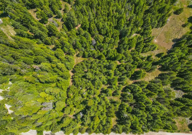 Photo 4 of Land for sale at 351 Stohr Rd, Newport, WA 99156 | MLS# 202613586 | Listing updated on 2026-09-09