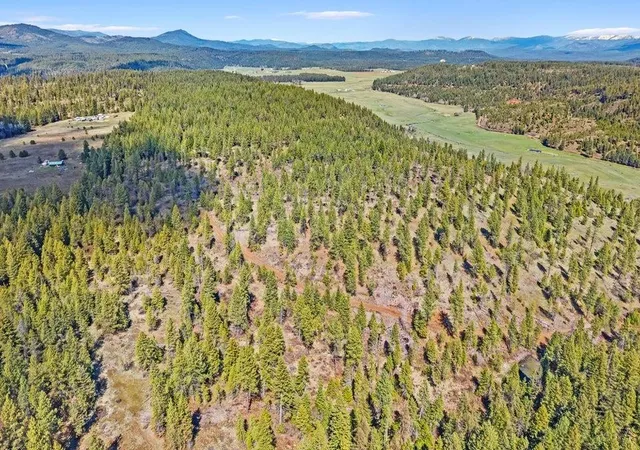 Photo 1 of Land for sale at 4xxx Tbd, Springdale, WA 99173 | MLS# 202618944 | Listing updated on 2026-09-22