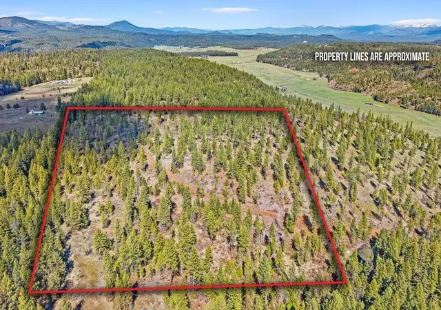 Photo 2 of Land for sale at 4xxx Tbd, Springdale, WA 99173 | MLS# 202618944 | Listing updated on 2026-09-22
