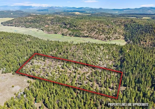 Photo 3 of Land for sale at 4xxx Tbd, Springdale, WA 99173 | MLS# 202618944 | Listing updated on 2026-09-22