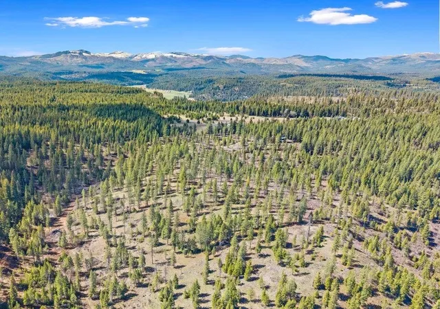Photo 3 of Land for sale at 4xxx Tbd, Springdale, WA 99173 | MLS# 202618944 | Listing updated on 2026-09-22