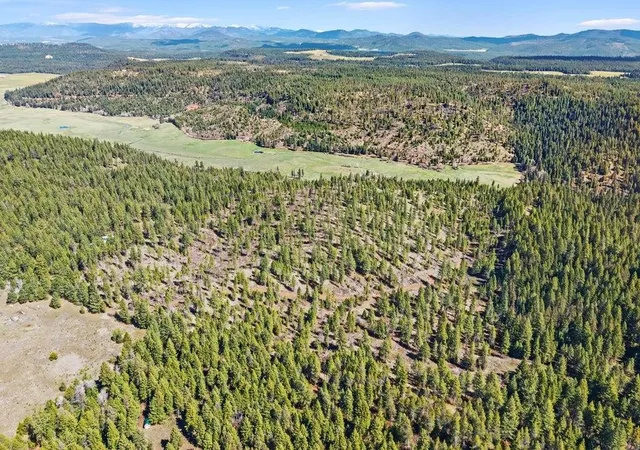 Photo 4 of Land for sale at 4xxx Tbd, Springdale, WA 99173 | MLS# 202618944 | Listing updated on 2026-09-22