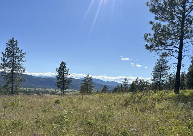 Photo 1 of Land for sale at 2392 Cozy Nook Rd, Chewelah, WA 99109 | MLS# 202620019 | Listing updated on 2026-09-22