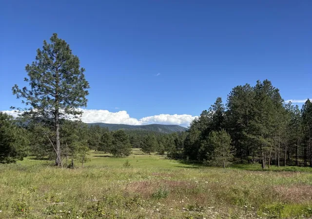 Photo 2 of Land for sale at 2392 Cozy Nook Rd, Chewelah, WA 99109 | MLS# 202620019 | Listing updated on 2026-09-22