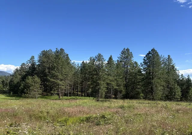 Photo 3 of Land for sale at 2392 Cozy Nook Rd, Chewelah, WA 99109 | MLS# 202620019 | Listing updated on 2026-09-22