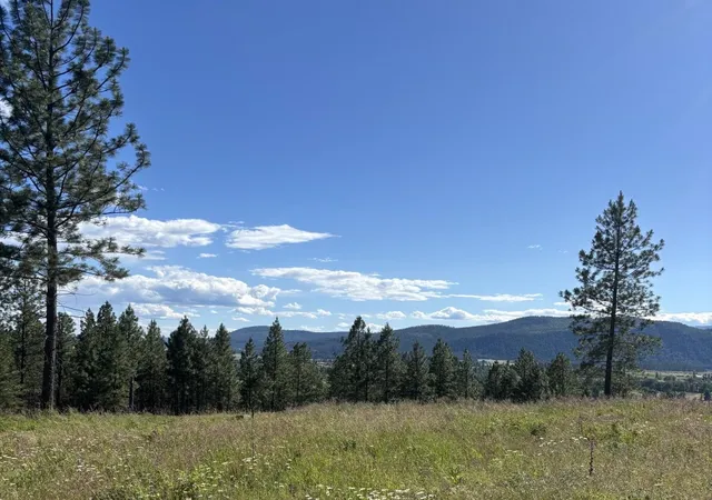 Photo 3 of Land for sale at 2392 Cozy Nook Rd, Chewelah, WA 99109 | MLS# 202620019 | Listing updated on 2026-09-22
