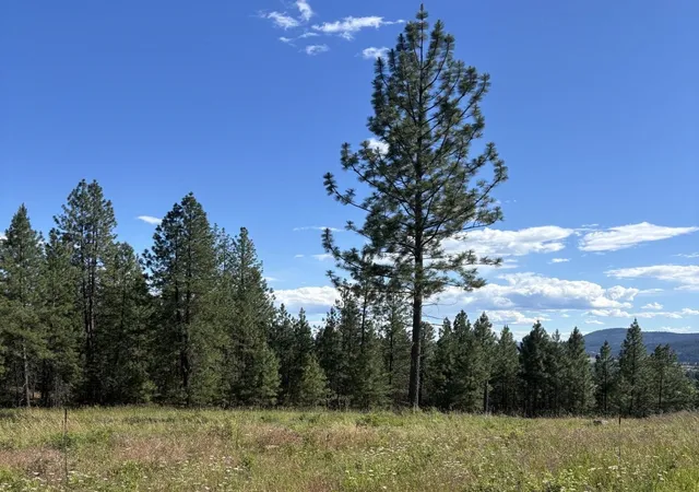 Photo 4 of Land for sale at 2392 Cozy Nook Rd, Chewelah, WA 99109 | MLS# 202620019 | Listing updated on 2026-09-22
