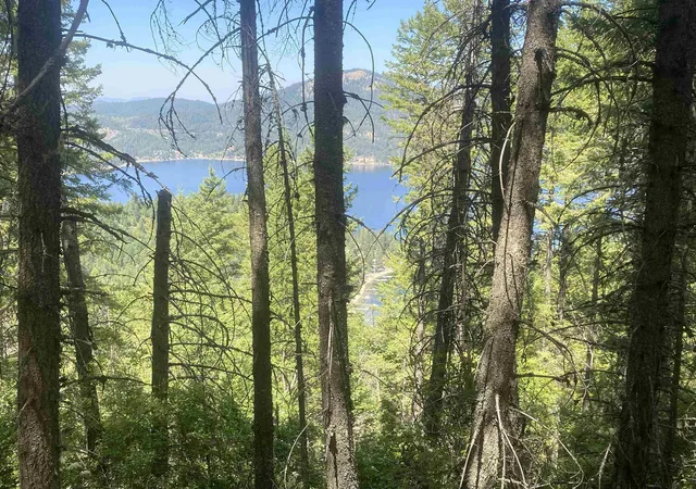 Photo 1 of Land for sale at Nna E Deer Lake Rd, Loon Lake, WA 99148 | MLS# 202620878 | Listing updated on 2026-09-15