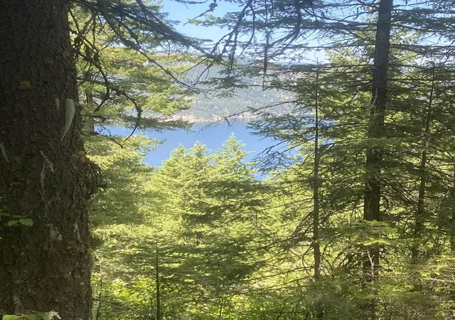 Photo 2 of Land for sale at Nna E Deer Lake Rd, Loon Lake, WA 99148 | MLS# 202620878 | Listing updated on 2026-09-15