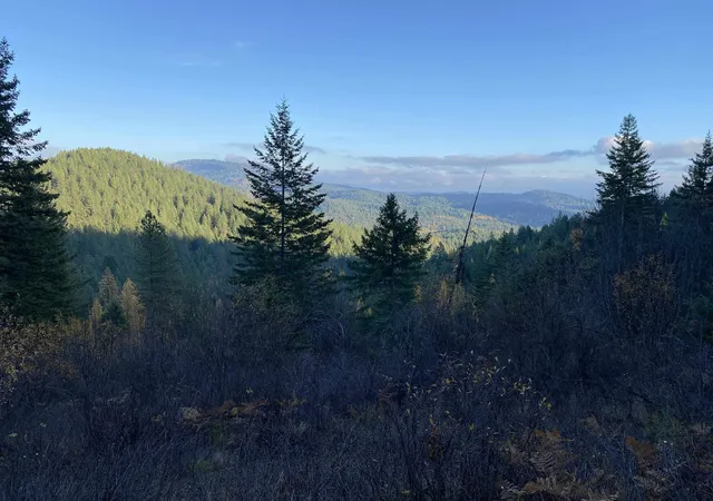Photo 3 of Land for sale at Nna E Deer Lake Rd, Loon Lake, WA 99148 | MLS# 202620878 | Listing updated on 2026-09-15