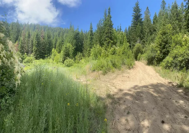 Photo 4 of Land for sale at Nna E Deer Lake Rd, Loon Lake, WA 99148 | MLS# 202620878 | Listing updated on 2026-09-15