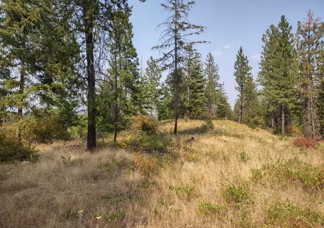 Photo 1 of Land for sale at Xx Lodgepole Ln, Elk, WA 99009 | MLS# 202623124 | Listing updated on 2026-10-08